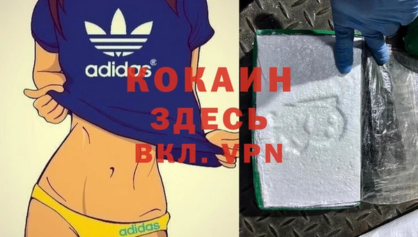 гидра Алексеевка