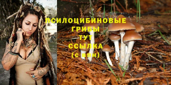 герыч Алексин