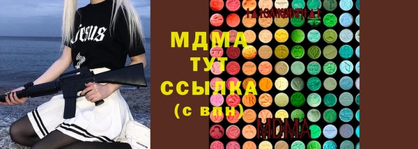 гидра Алексеевка