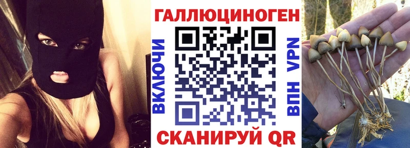 Галлюциногенные грибы Psilocybine cubensis  kraken ONION  Неман 
